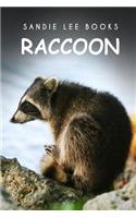 Raccoon - Sandie Lee Books