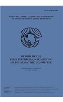 Report of the First Intersessional Meeting of the Scientific Committee