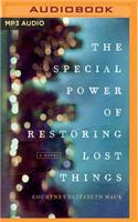 Special Power of Restoring Lost Things