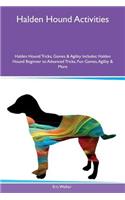 Halden Hound Activities Halden Hound Tricks, Games & Agility Includes: Halden Hound Beginner to Advanced Tricks, Fun Games, Agility & More