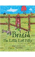 Brigid, The Little Lost Filly
