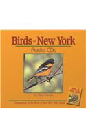 Birds of New York Audio