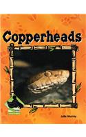 Copperheads