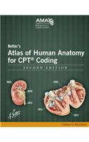 Netter's Atlas of Human Anatomy for CPT Coding