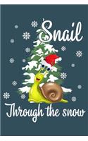Snail through the snow