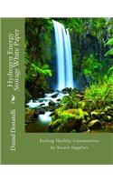 Hydrogen Energy Storage White Paper
