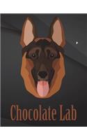 Chocolate Lab.