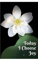 Today I Choose Joy