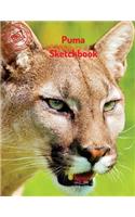 Puma Sketchbook