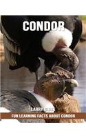 Fun Learning Facts about Condor