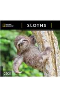 Cal 2021- National Geographic Sloths Wall