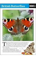 British Butterflies: The Instant Guide(Instant Guides)