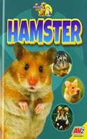 Hamster