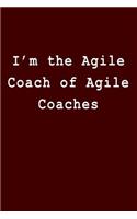 I'm the Agile Coach of Agile Coaches