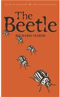 The Beetle