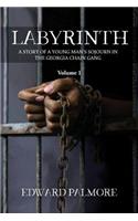 Labyrinth: Volume 1: A STORY OF A YOUNG MAN'S SOJOURN IN THE GEORGIA CHAIN GANG