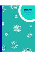 2018 - 2020 Aspen Three Year Planner