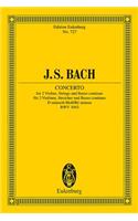 Concerto in D Minor, Bwv 1043