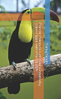 Parrot Palooza