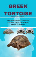 Greek Tortoise