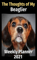 The Thoughts of My Beaglier