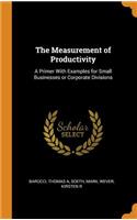 The Measurement of Productivity