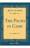 The Pecks in Camp (Classic Reprint)