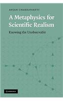 A Metaphysics for Scientific Realism: Knowing the Unobservable(English)