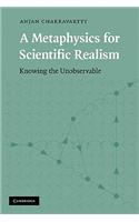 Metaphysics for Scientific Realism