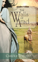 Walls of Arad