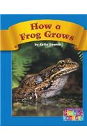 How a Frog Grows