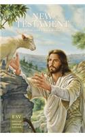 New Testament Outreach Bible