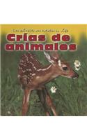 Crías de Animales (Baby Animals)