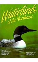 Waterbirds of the Northeast