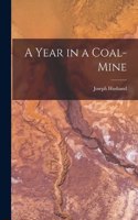 Year in a Coal-mine