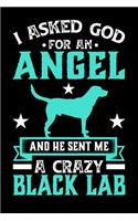 I Asked God For An Angel And He sent Me A Crazy black lab: Gifts for Dog Owners 100 page 6 x 9 Daily journal to jot down your ideas and notes