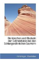 Die Knochen Und Muskeln Der Extremitaten Bei Den Schlangen Hnlichen Sauriern