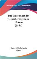 Wustungen Im Grossherzogthum Hessen (1854)