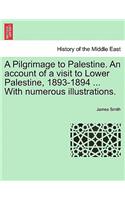 Pilgrimage to Palestine. an Account of a Visit to Lower Palestine, 1893-1894 ... with Numerous Illustrations.