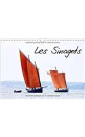 Sinagots 2017