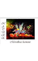 Nature Merveilleuse Harmonie 2018