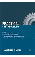 Practical Sustainability