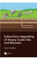Subsurface Upgrading of Heavy Crude Oils and Bitumen