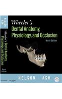 Wheeler's Dental Anatomy, Physiology and Occlusion