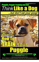Puggle, Puggle Training AAA AKC