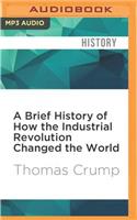 Brief History of How the Industrial Revolution Changed the World