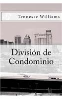División de Condominio