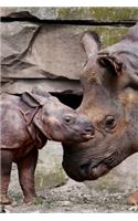 So Sweet Close-Up Portrait of Mother and Baby Rhinoceros Animal Journal