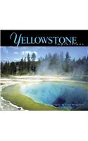 Yellowstone Impressions