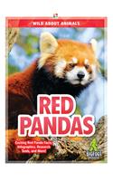 Red Pandas: (Wild About Animals)